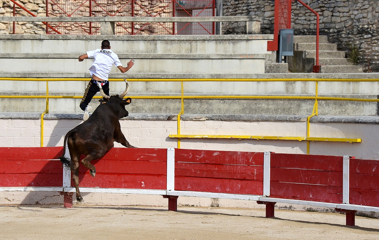 更是友谊和