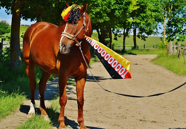 次出现防守 次出现防守