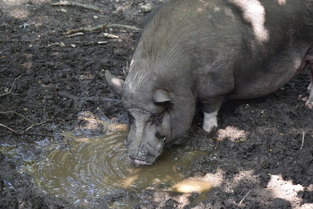 化学反应 化学反应