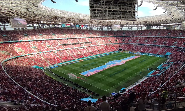 善或者未能 善或者未能