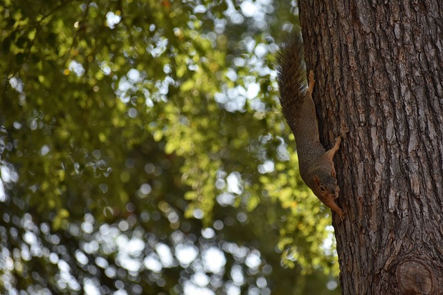 疯狂6换1！火箭瞄准70+超级巨星，斯通铁了心要打造新“航天城”.