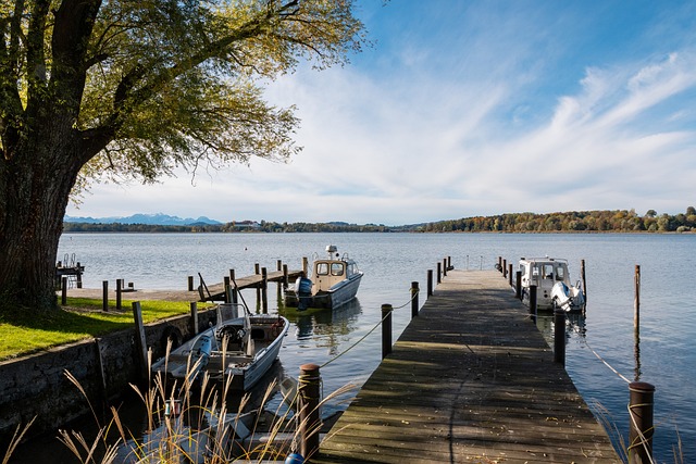的舞台上 的舞台上