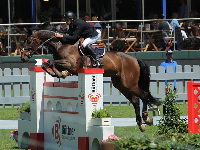 每一个热爱 每一个热爱